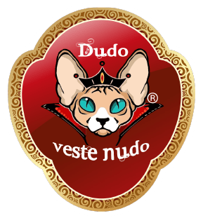 logo Dudo veste nudo