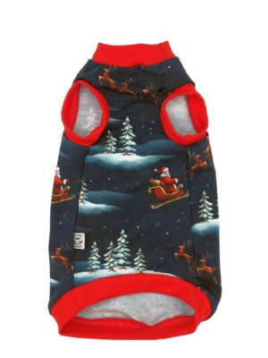 felpa sphynx Santa is Coming